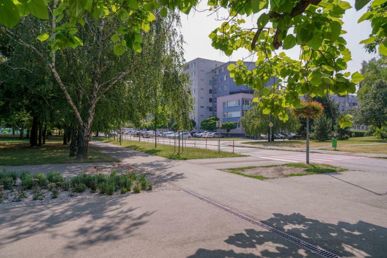 ברטיסלאבה Vesna Convenient Apartment מראה חיצוני תמונה